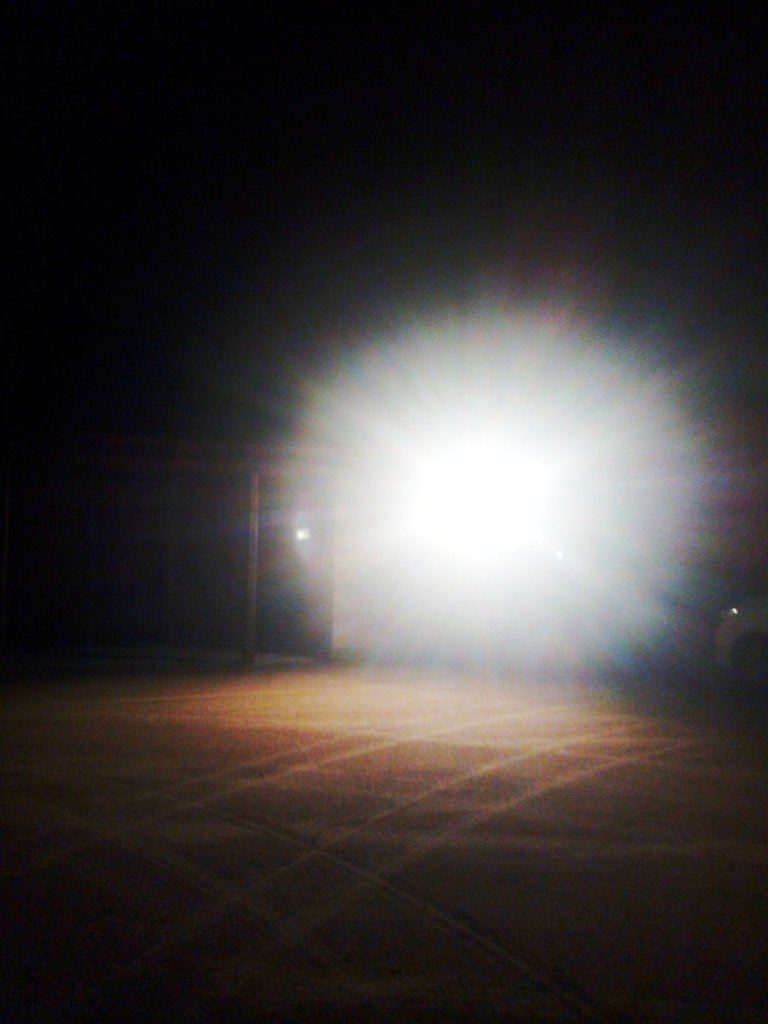 Waynes field 8.12.2020