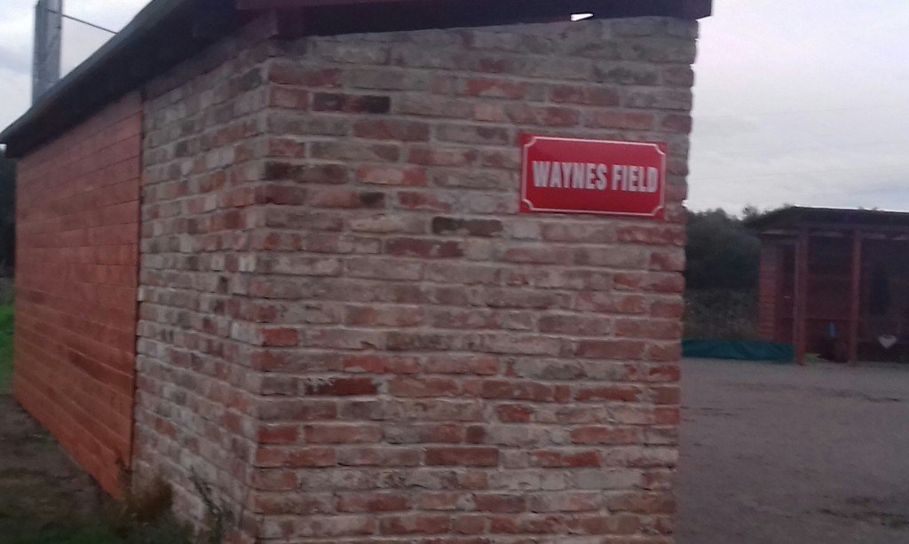 Waynes field 13.9.2017 | fototo Áňa