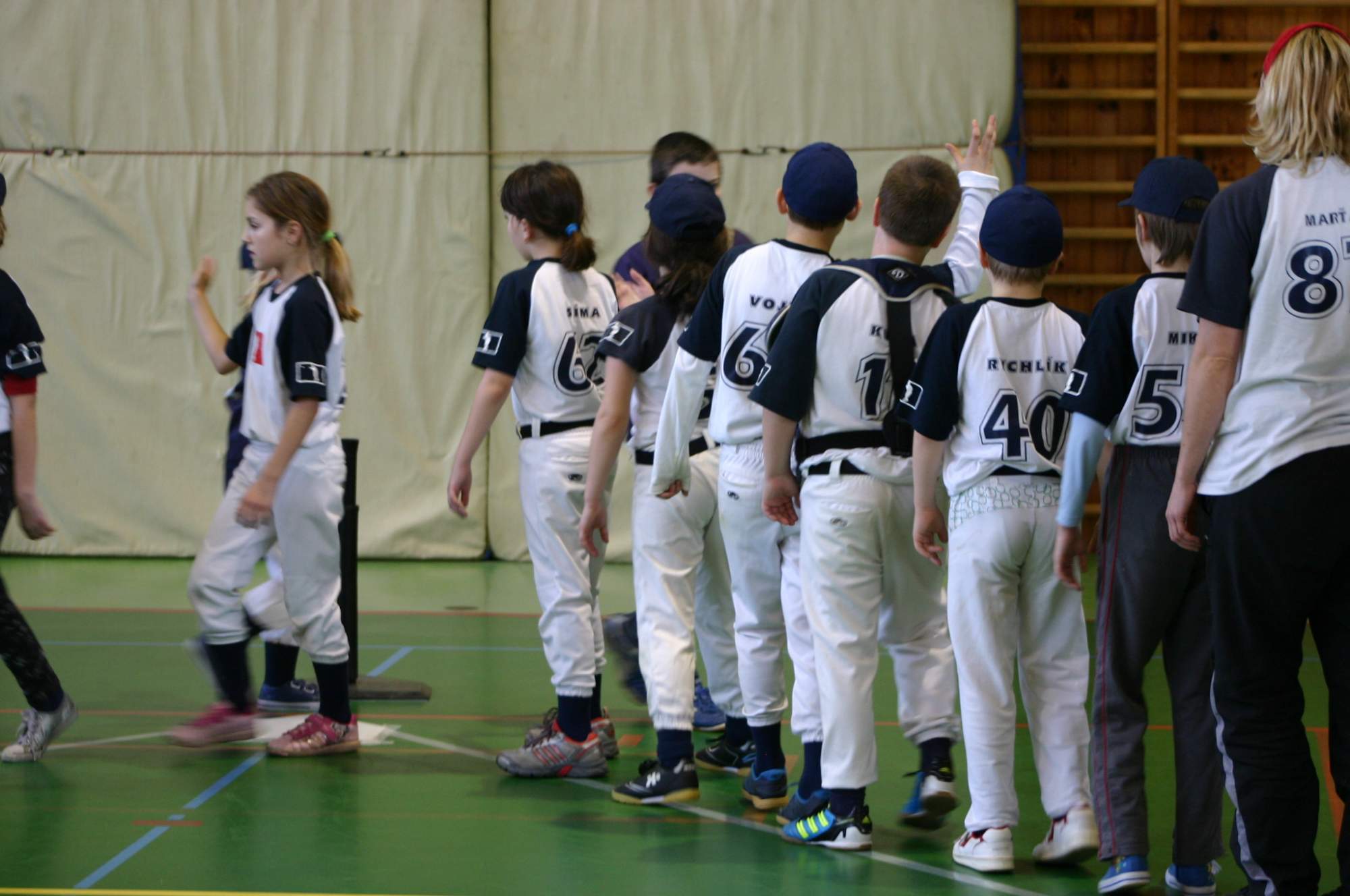 Kostelecký lvíček 2015