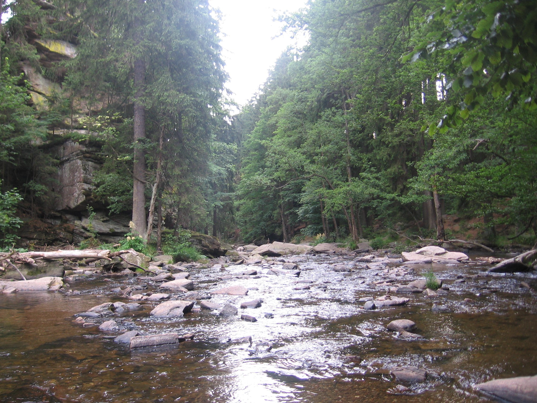 Pastviny 2015 | Orlice u Zemské brány | foto wayne