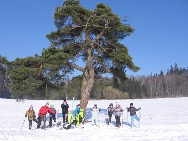Winter Camp 2015 | Pod borovicí | foto wayne